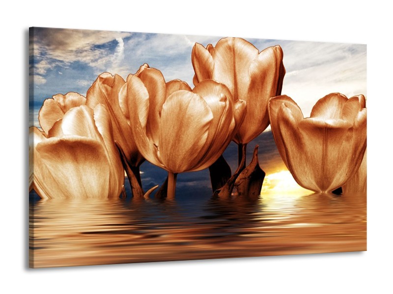 Canvas schilderij Tulpen | Bruin, Geel, Blauw | 140x90cm 1Luik