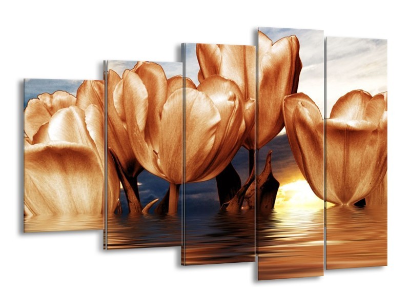 Canvas schilderij Tulpen | Bruin, Geel, Blauw | 150x100cm 5Luik