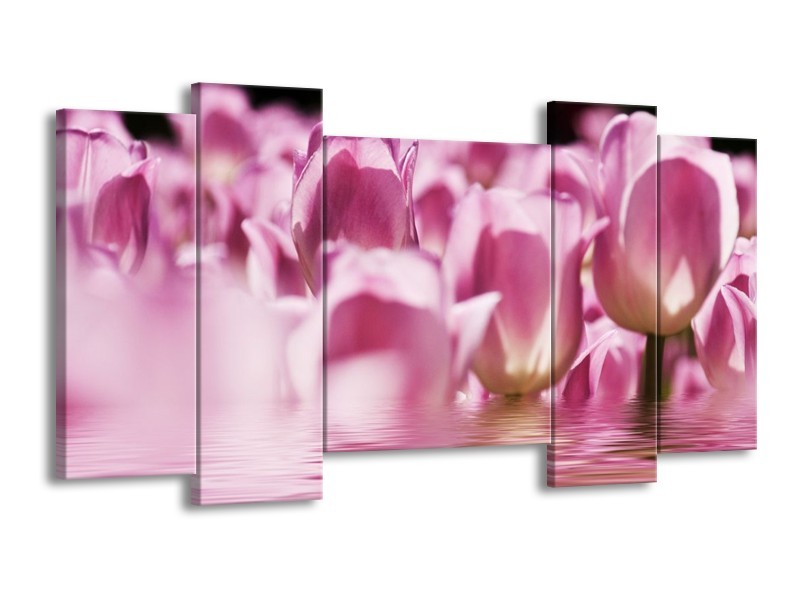 Canvas schilderij Tulpen | Paars, Wit | 120x65 5Luik