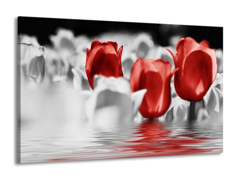 Canvas schilderij Tulpen | Grijs, Rood | 140x90cm 1Luik