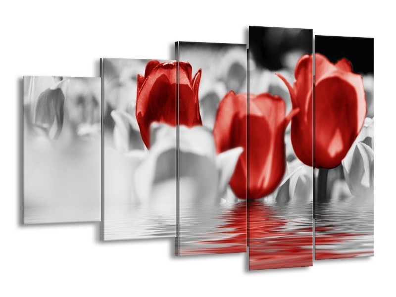 Canvas schilderij Tulpen | Grijs, Rood | 150x100cm 5Luik