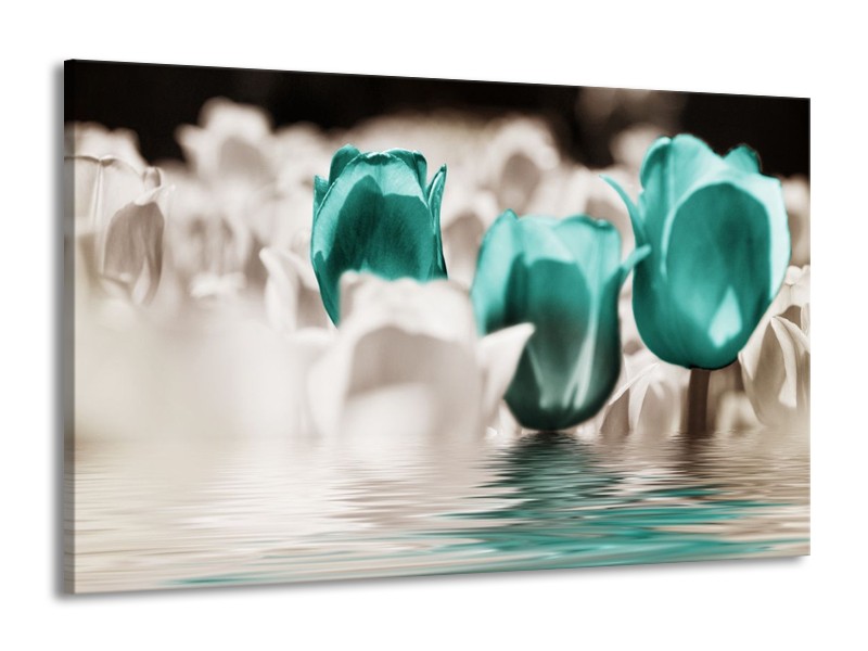 Canvas schilderij Tulpen | Wit, Blauw | 140x90cm 1Luik