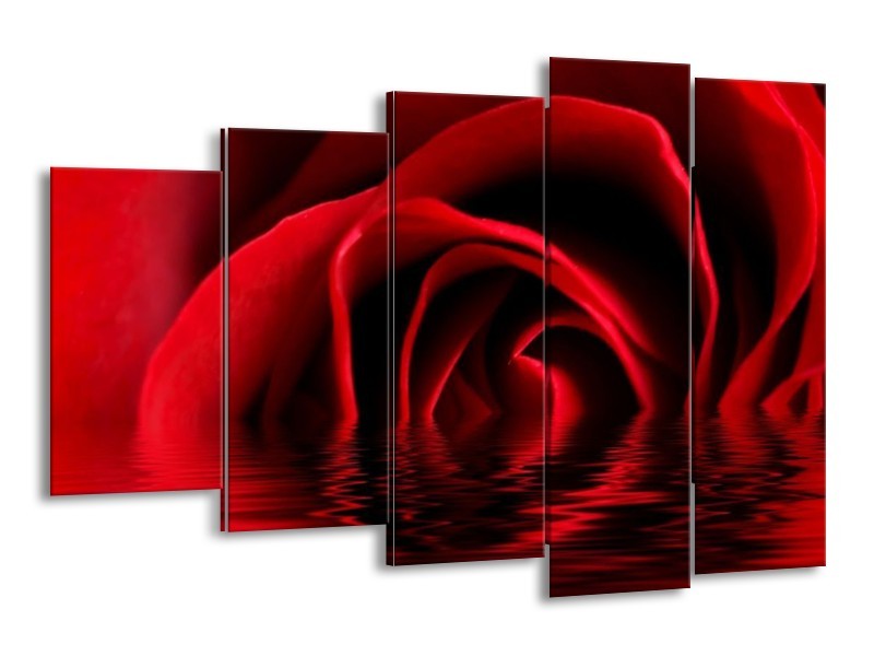 Canvas schilderij Roos | Zwart, Rood | 150x100cm 5Luik