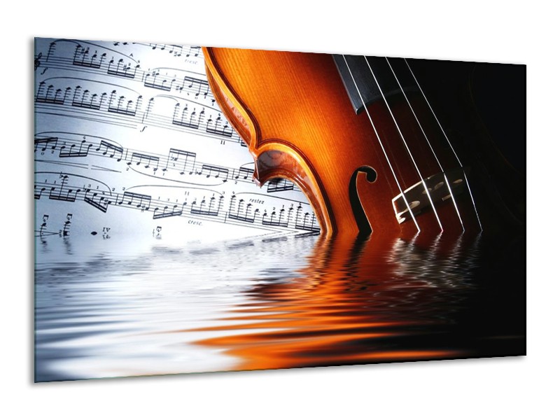 Glas schilderij Instrument | Wit, Bruin, Zwart | 120x70cm 1Luik