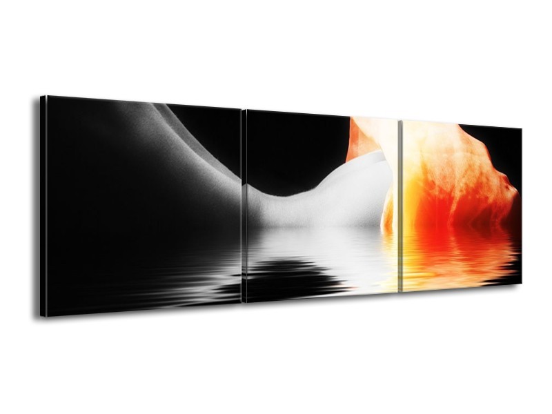 Glas schilderij Lichaam | Oranje, Wit, Zwart | 150x50cm 3Luik