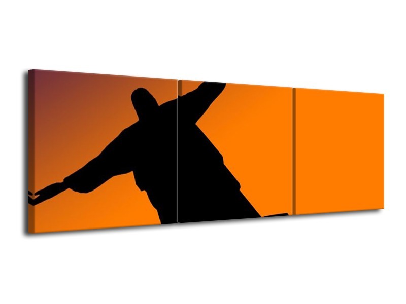 Canvas schilderij Brazilie | Oranje, Zwart, Geel | 120x40cm 3Luik