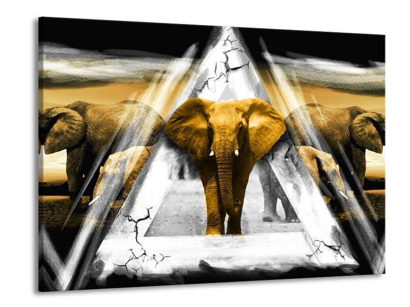 Glas schilderij Olifant | Geel, Wit, Grijs | 100x70cm 1Luik