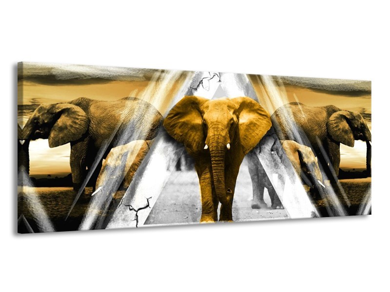 Canvas schilderij Olifant | Geel, Wit, Grijs | 145x58cm 1Luik