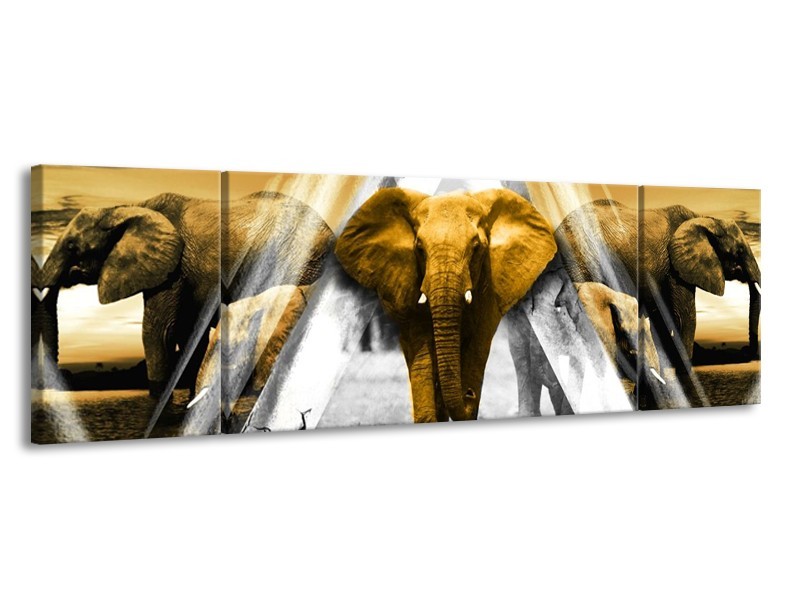 Canvas schilderij Olifant | Geel, Wit, Grijs | 170x50cm 3Luik