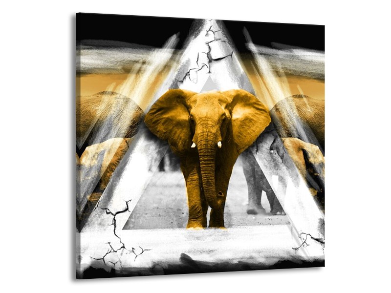 Canvas schilderij Olifant | Geel, Wit, Grijs | 50x50cm 1Luik