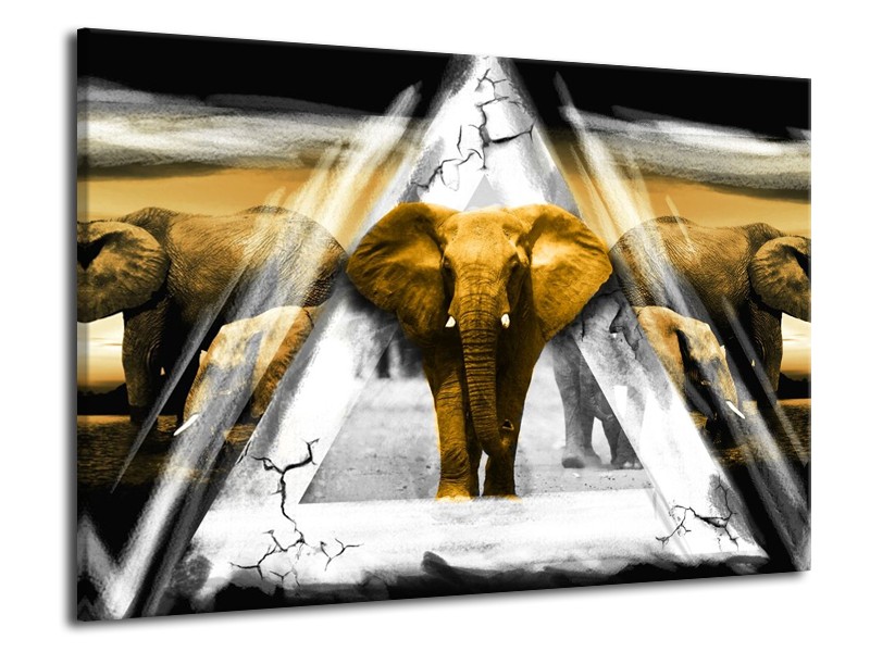 Glas schilderij Olifant | Geel, Wit, Grijs | 70x50cm 1Luik