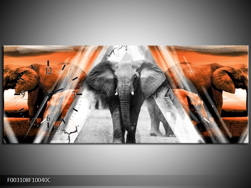 Klok schilderij Olifant | Oranje, Wit, Grijs | 100x40cm 1Luik