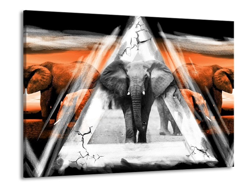 Glas schilderij Olifant | Oranje, Wit, Grijs | 100x70cm 1Luik