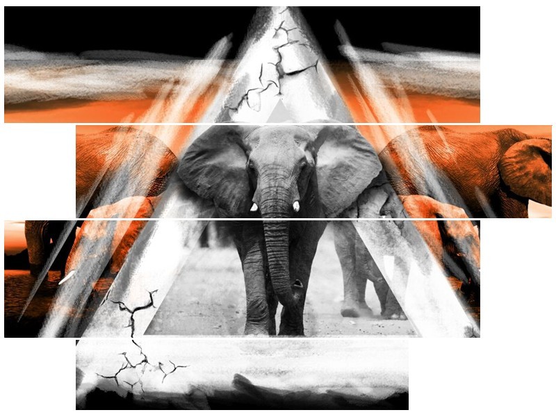 Glas schilderij Olifant | Oranje, Wit, Grijs | 115x85cm 4Luik