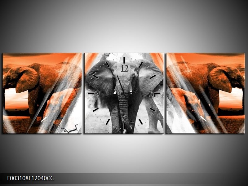 Klok schilderij Olifant | Oranje, Wit, Grijs | 120x40cm 3Luik