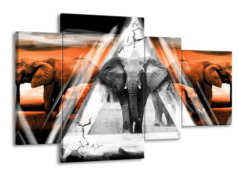 Canvas schilderij Olifant | Oranje, Wit, Grijs | 120x75cm 4Luik