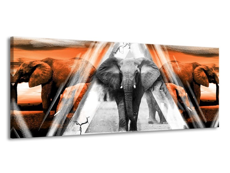 Canvas schilderij Olifant | Oranje, Wit, Grijs | 145x58cm 1Luik