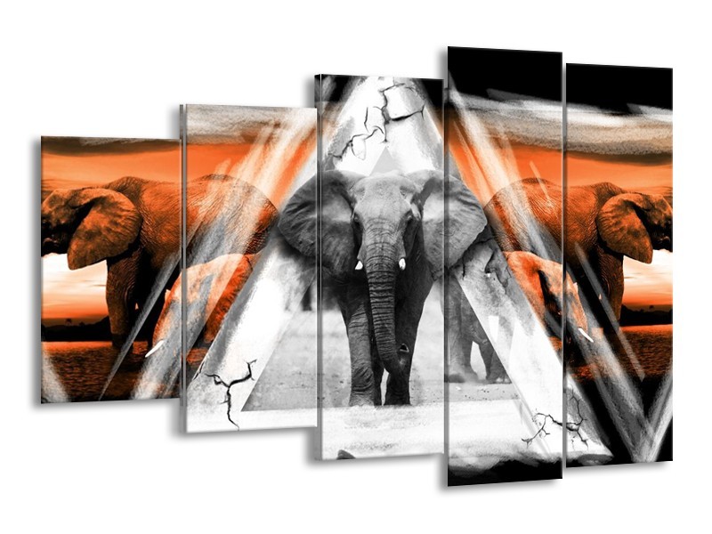 Glas schilderij Olifant | Oranje, Wit, Grijs | 150x100cm 5Luik