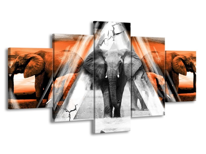 Canvas schilderij Olifant | Oranje, Wit, Grijs | 150x80cm 5Luik
