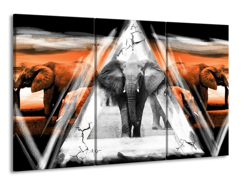 Glas schilderij Olifant | Oranje, Wit, Grijs | 165x100cm 3Luik