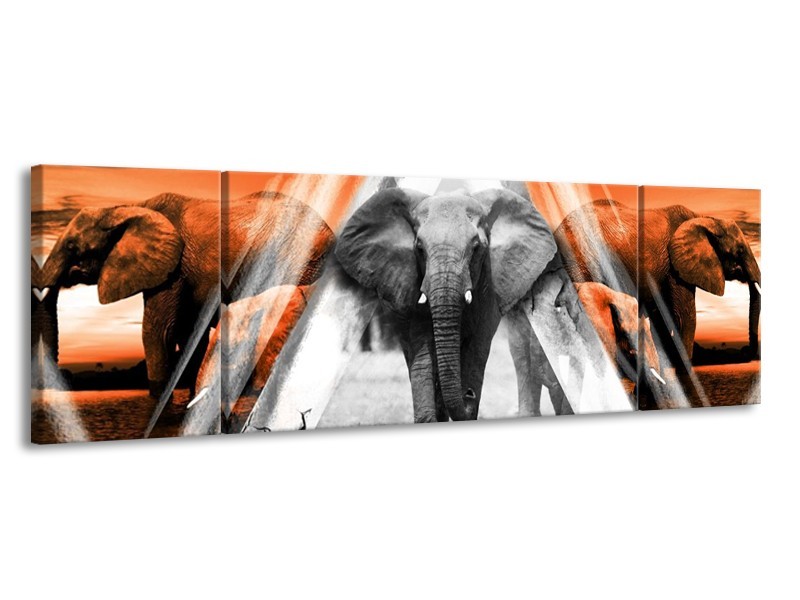 Canvas schilderij Olifant | Oranje, Wit, Grijs | 170x50cm 3Luik