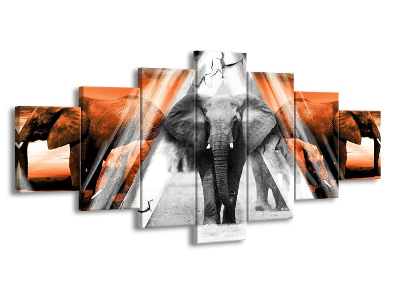 Glas schilderij Olifant | Oranje, Wit, Grijs | 210x100cm 7Luik