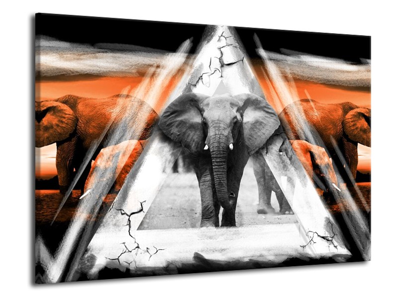 Canvas schilderij Olifant | Oranje, Wit, Grijs | 70x50cm 1Luik