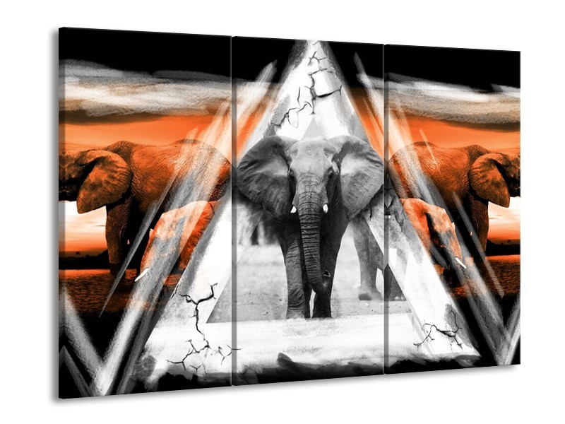Canvas schilderij Olifant | Oranje, Wit, Grijs | 90x60cm 3Luik