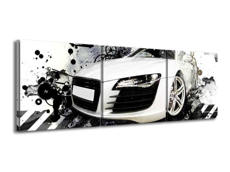 Glas schilderij Audi | Wit, Zwart, Grijs | 150x50cm 3Luik