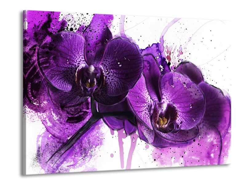 Canvas schilderij Orchidee | Paars, Wit, Zwart | 100x70cm 1Luik