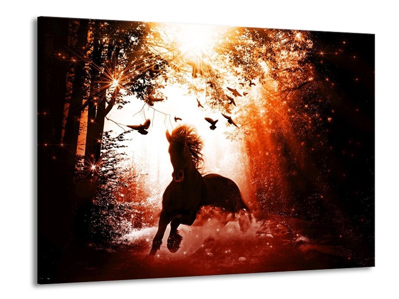 Canvas schilderij Paard | Rood, Zwart, Wit | 100x70cm 1Luik