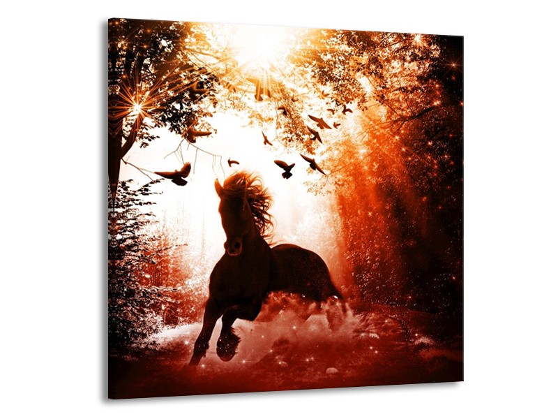 Canvas schilderij Paard | Rood, Zwart, Wit | 50x50cm 1Luik