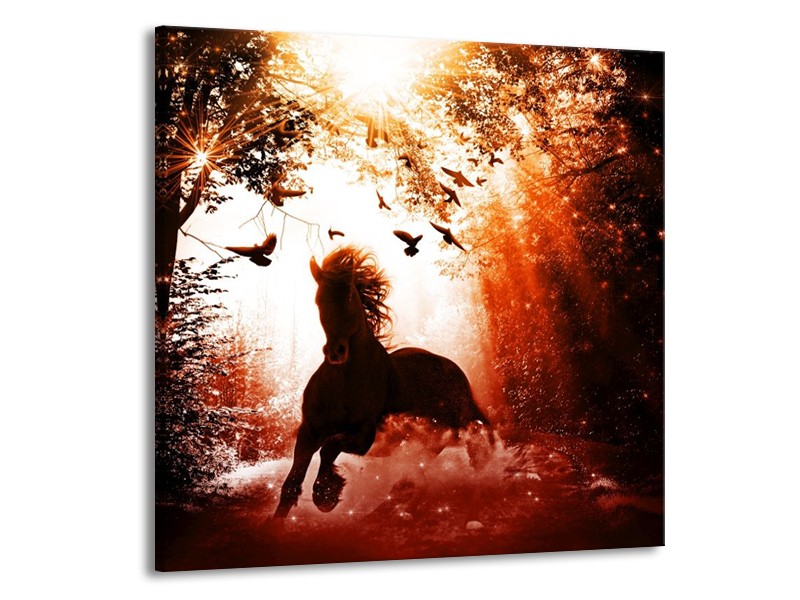 Canvas schilderij Paard | Rood, Zwart, Wit | 70x70cm 1Luik