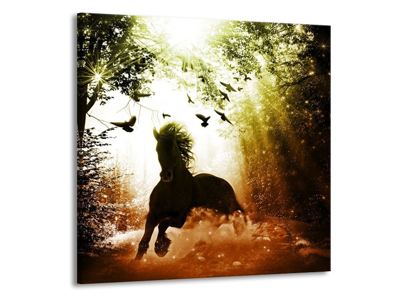 Glas schilderij Paard | Groen, Zwart, Wit | 50x50cm 1Luik