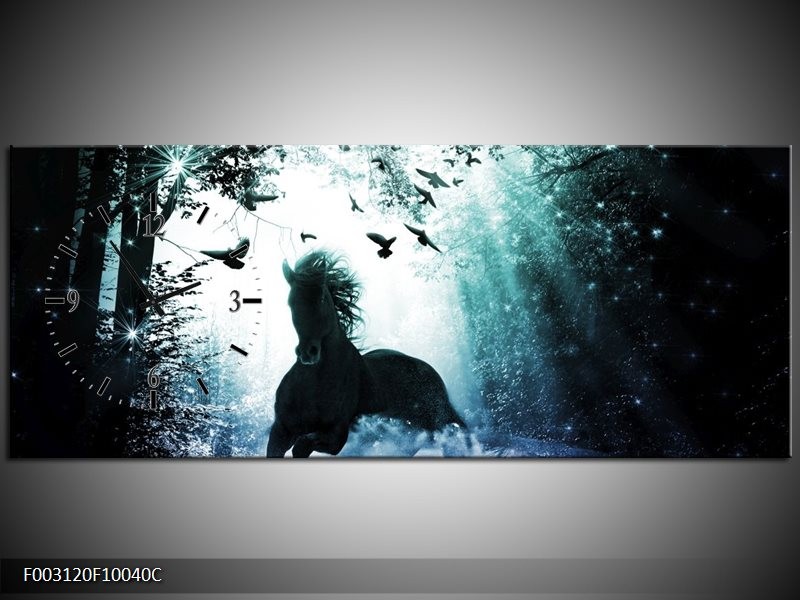 Klok schilderij Paard | Blauw, Zwart, Wit | 100x40cm 1Luik