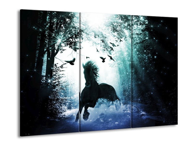 Canvas schilderij Paard | Blauw, Zwart, Wit | 90x60cm 3Luik