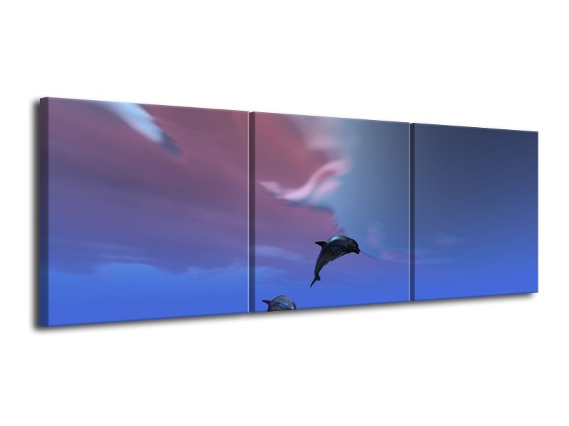 Glas schilderij Dolfijn | Blauw, Paars, Grijs | 120x40cm 3Luik