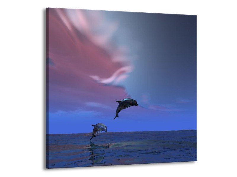 Canvas schilderij Dolfijn | Blauw, Paars, Grijs | 50x50cm 1Luik