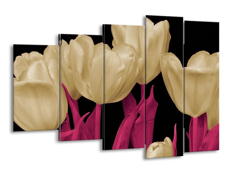Canvas schilderij Tulpen | Wit, Zwart, Roze | 150x100cm 5Luik