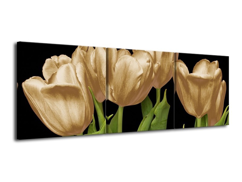 Canvas schilderij Tulpen | Goud, Groen, Zwart | 120x40cm 3Luik