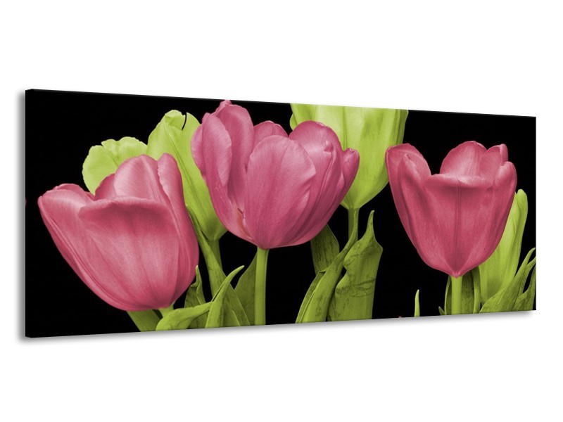 Canvas schilderij Tulpen | Roze, Groen, Zwart | 145x58cm 1Luik