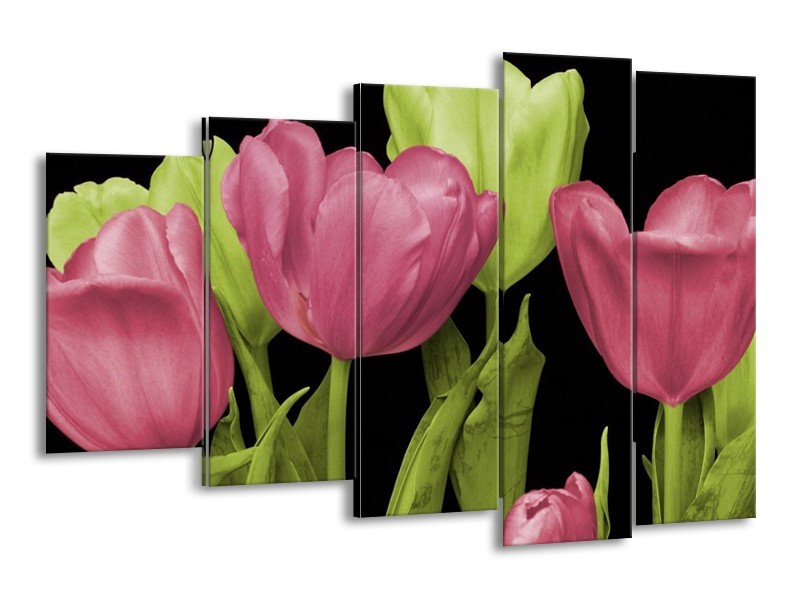 Canvas schilderij Tulpen | Roze, Groen, Zwart | 150x100cm 5Luik