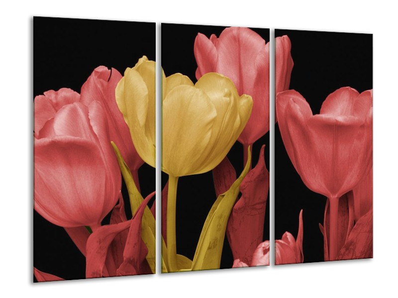 Canvas schilderij Tulpen | Geel, Roze, Zwart | 120x80cm 3Luik