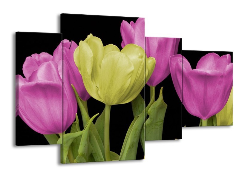 Canvas schilderij Tulpen | Paars, Groen, Zwart | 120x75cm 4Luik