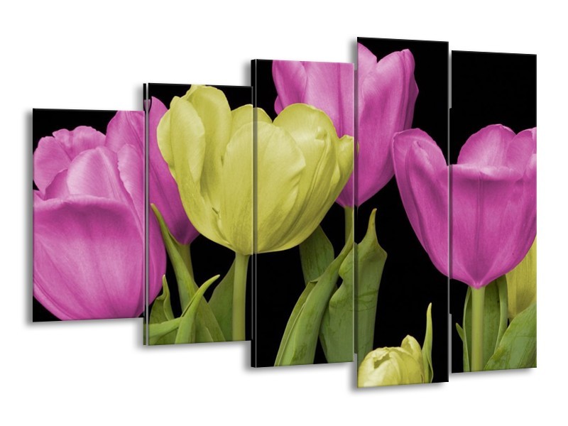 Canvas schilderij Tulpen | Paars, Groen, Zwart | 150x100cm 5Luik