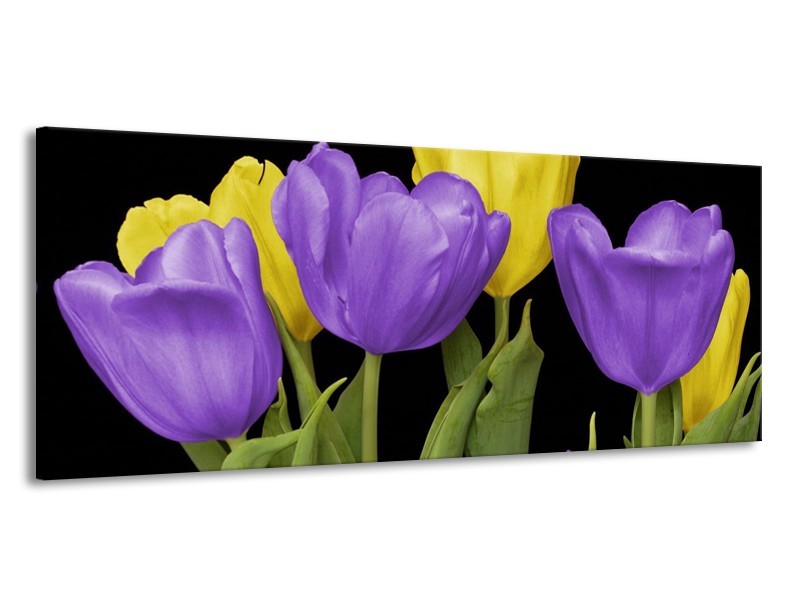 Canvas schilderij Tulpen | Paars, Geel, Groen | 145x58cm 1Luik