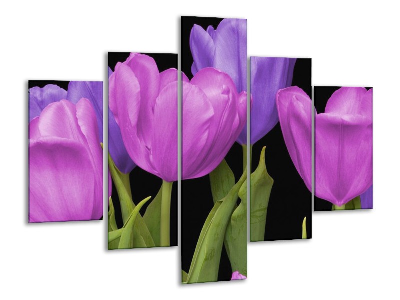 Canvas schilderij Tulpen | Paars, Blauw, Groen | 100x70cm 5Luik
