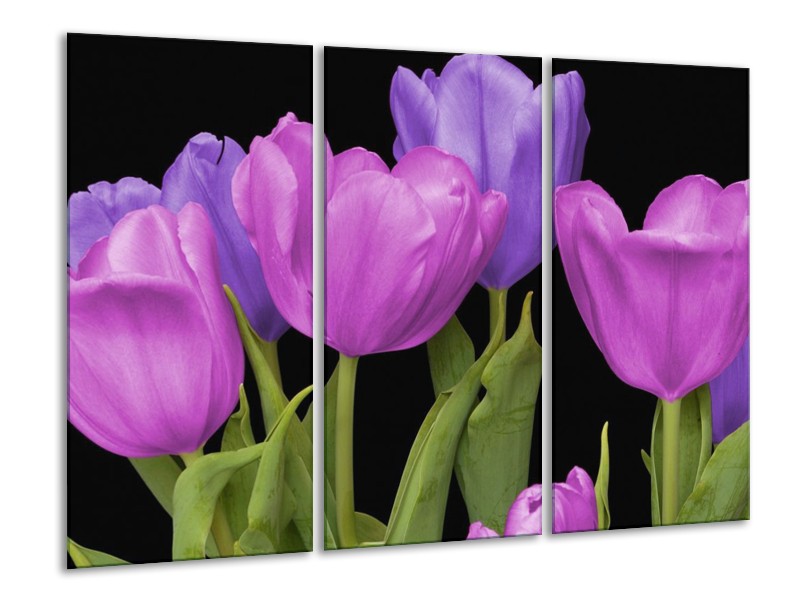 Canvas schilderij Tulpen | Paars, Blauw, Groen | 120x80cm 3Luik