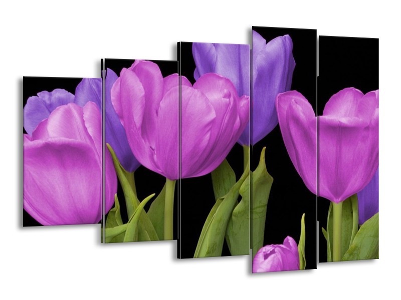 Canvas schilderij Tulpen | Paars, Blauw, Groen | 150x100cm 5Luik