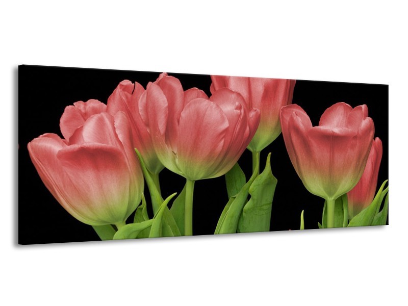 Canvas schilderij Tulpen | Rood, Groen, Zwart | 145x58cm 1Luik